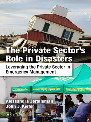 cover image of The Private Sector's Role in Disasters